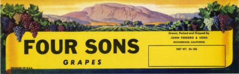 Four Sons